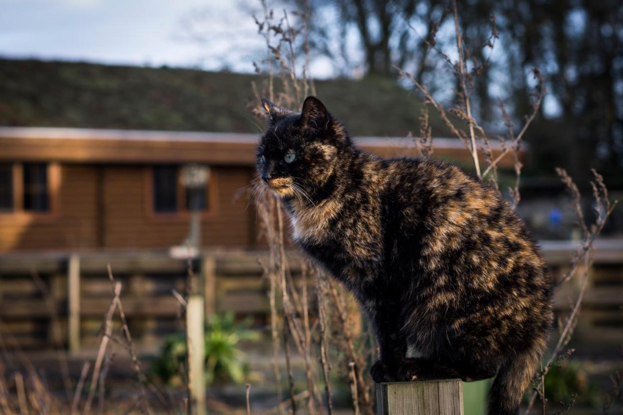 Willa Bij De Appelhof Valkenswaard Zewnętrze zdjęcie